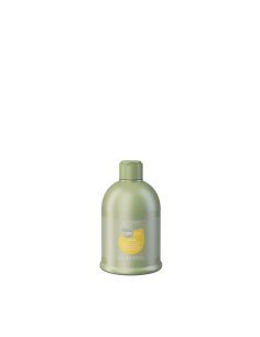 CHAMPU CUREGO SILK OIL...